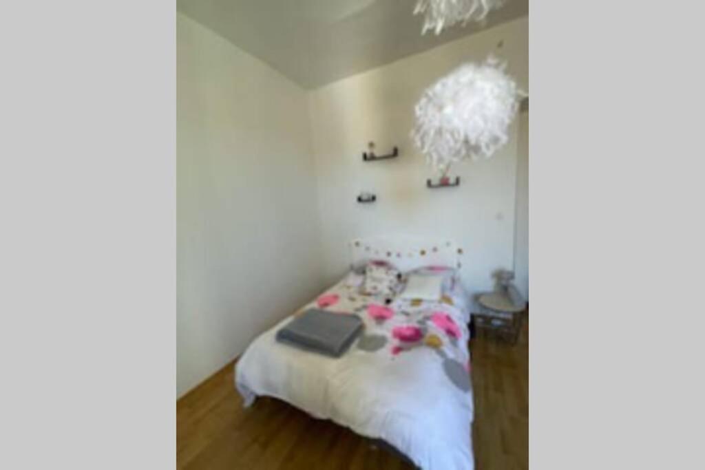 Magnifique Grand T3 Refait A Neuf En 2025 Plein Centre Corte 13 Cours Paoli Wifi Ecran Plat Lave Linge 6 Couchages Apartment